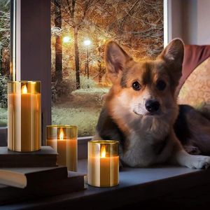 Velas LED sin Llama de Cristal con 3 Mechas, Venta al por Mayor de Fábrica, Control Remoto, Temporizador, Cera de Parafina Personalizada para Festivales y Bodas - Product Image 6