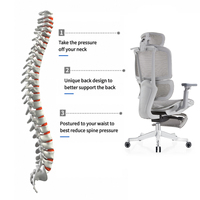 Chaise de bureau ergonomique en maille avec soutien lombaire réglable, dossier haut, pivotante, avec accoudoirs pour le bureau à domicile