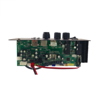 Carte d'amplification audio numérique professionnelle double 50W