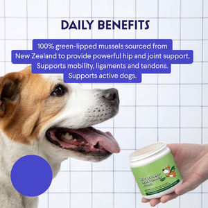 Suplemento de Polvo de Mejillón de Labio Verde de Marca Privada para <span class=keywords><strong>Perros</strong></span> - Movilidad de Articulaciones de Cadera, Flexibilidad Muscular y de Tendones de Mejillón Puro - Product Image 3