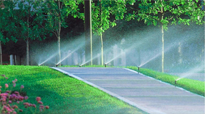 Système d'irrigation entièrement <span class=keywords><strong>automatique</strong></span> et économe en énergie DaringFish, ensemble complet d'équipements d'<span class=keywords><strong>arrosage</strong></span>, télécommande intelligente IoT - Product Image 6