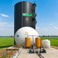 Usine de biogaz entièrement automatique : technologie de fermentation et d'extraction, cuve sous pression, moteur, capacité personnalisable, écologique, faible consommation