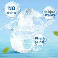 Échantillon Gratuit – Feuilles de Lessive Hypoallergéniques Jetables Personnalisées à Faible Formation de Mousse, Écologiques, Nettoyage en Profondeur – Très Efficaces