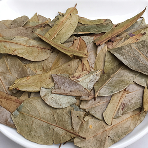 Hojas de Guanábana Orgánicas al por Mayor |   Secado y Limpiado |   Vietnam |   Viet Delta |   Duración de vida útil de 12 meses |   Preparar Té |   Hazel |   Viet Delta - Product Image 1