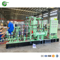 Compresor de Pistón de Helio Pequeño, Precio de Fábrica en China, Buena Calidad, Baja Tasa de Fallos, Alta Rentabilidad, Compresor Industrial