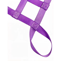 Filet de chargement suspendu en PE 1T 4M*4M personnalisé par le fabricant pour le levage de meubles et le levage de marchandises pour camions de fret