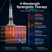 Appareil de thérapie laser 1064nm 980nm 810nm, équipement de physiothérapie de classe IV pour la récupération des inflammations en clinique, vente en gros