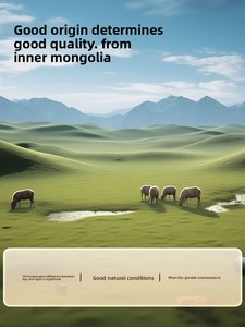 Pequim Tonbrentang <span class=keywords><strong>Atractylodes</strong></span> 200g Saúde Erva Chá Secagem Húmica e Fortalecimento do Baço Expulsando Vento TCM Ervas Spic - Product Image 6