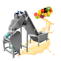 Machine à jus multifonctionnelle haute performance pour lavage et broyage de fruits (pastèque, poire, kiwi, mangue) et fabrication de jus pressé à froid