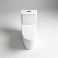WC intégré moderne et minimaliste pour usage domestique, sanitaires de grand diamètre, toilettes en céramique anti-odeurs à siphon