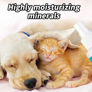 工厂定制自有品牌免费样品无酒精宠物除臭喷雾宠物除臭剂房间喷雾适用于狗猫 - Product Image 5