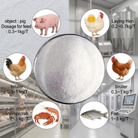 Bétaïne HCl en poudre de qualité alimentaire 96%~98% pour vaches laitières, favorise une croissance et une nutrition saines, réduit le taux de diarrhée