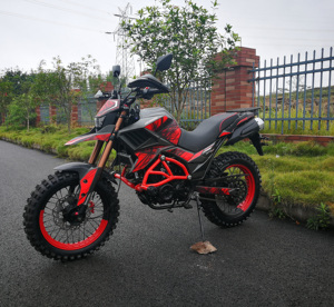 FUEGO <strong>TEKKEN</strong> 250 Cheap for Sale <strong>250cc</strong> All Terrain <strong>Motorcycle</strong> 11190125 - Product Image 5