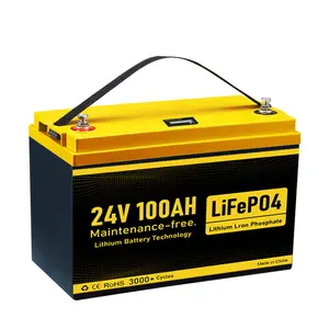 48v Lifepo4 배터리 55ah165ah 220ah 배터리 리튬 배터리 팩 lcd lifepo4 200ah 리튬 이온 24v