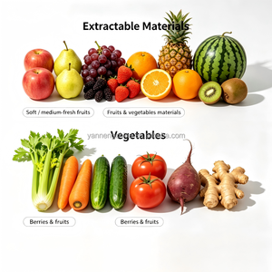 2026 Stainless Steel Parsley <b>Juice</b> Extractor <b>Machine</b> Cold Press Apple Juicer Industrial <b>Juice</b> Extracting Equipment For Sale - Product Image 2