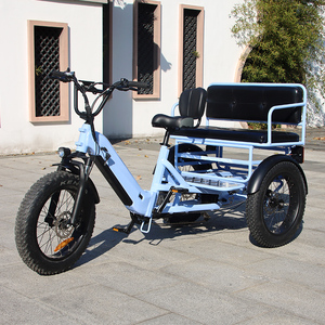 Triciclo Eléctrico de 3 Ruedas con Suspensión Delantera, Bicicleta de Carga Familiar, Triciclo con Llantas Gruesas, Triciclo Eléctrico para 2 Personas para Turismo - Product Image 1