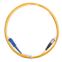 Cordon de brassage fibre optique FTTH personnalisé pour diverses applications de communication (SC/LC/FC/ST, monomode SX/DX)