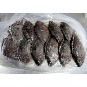 Tilapia Negra Congelada para Acuicultura, Cría <span class=keywords><strong>de</strong></span> Tilapia, Tilapia Entera Redonda para el Mercado - Product Image 2