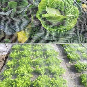 Grillage anti-insectes en HDPE de haute qualité, résistant aux acides et aux alcalis, adapté à divers environnements agricoles, découpable - Product Image 6