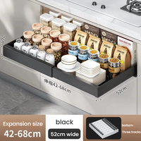 Étagère de rangement coulissante pour cuisine, organisateur de tiroir d'armoire extensible, tiroir à épices réglable, étagère de rangement robuste
