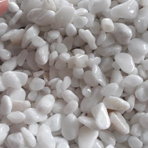 Plante du Vietnam en gros, décoration d'aquarium de poissons, galets blancs, aménagement paysager, jardin, galets - Product Image 4