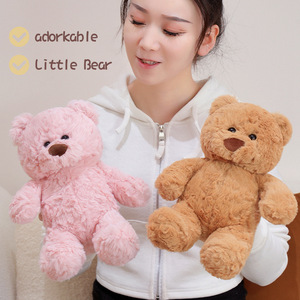 Customizable Soft Brushed Floral Teddy Bear Plush Toys with PP Cotton Filling Children's Birthday Gift Fluffy Dolls Pillow - Product Image 4