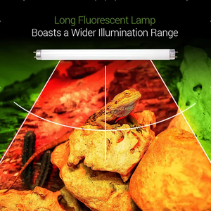 Shengxiang T8 10.0กบป่าฝน5.0 <span class=keywords><strong>UVB</strong></span> <span class=keywords><strong>UVA</strong></span> Bask ท่อไฟสัตว์เลื้อยคลาน - Product Image 5