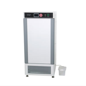 Petite <span class=keywords><strong>chambre</strong></span> d'incubateur à température <span class=keywords><strong>et</strong></span> humidité constantes de laboratoire - Product Image 1