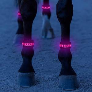 Bande lumineuse <span class=keywords><strong>pour</strong></span> cheval, qui brille dans <span class=keywords><strong>la</strong></span> <span class=keywords><strong>nuit</strong></span>, avertissement sécurité, <span class=keywords><strong>accessoires</strong></span> d'équitation, flash, en Nylon - Product Image 1