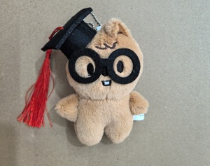 Nuevo Stray Kids Mini colgante FM Field Week niños huérfanos dibujos animados lindo mochila muñeca llavero colgante - Product Image 4