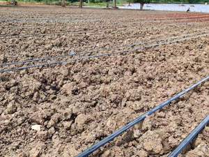 Kits de sistema de riego por goteo agrícola de 16mm para riego de invernadero de jardín de plástico PE de 2 hectáreas - Product Image 3