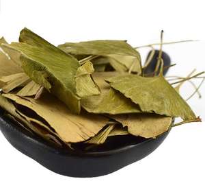 Bai Guo Ye Feuille De <span class=keywords><strong>Ginkgo</strong></span> Séchage Brut Nouvelles <span class=keywords><strong>Feuilles</strong></span> De <span class=keywords><strong>Ginkgo</strong></span> <span class=keywords><strong>Biloba</strong></span> Séchées Naturelles De Haute Qualité - Product Image 3