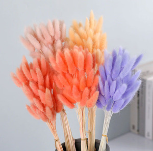 หญ้าหางกระต่ายแห้งสัมผัสเหมือนจริง 60 ชิ้น Lagurus Ovatus สำหรับตกแต่ง - Product Image 1