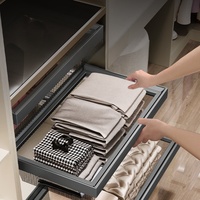 HNOSS Panier de rangement pour garde-robe et vêtements Tiroir coulissant pour placard en cuir de luxe à quatre niveaux