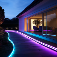 N1615D IP68 cuerda de neón luz Multicolor RGB LED tira impermeable tira de luz para Villa E-Sports Hotel sala de exposiciones