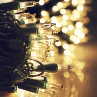 Weihnachts schnur Klare Farben Connect able Tree Party Decor 50 Count Glühlampen Mini Clear LED Weihnachts beleuchtung