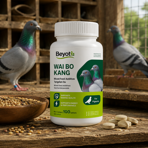 Tratamiento para la Salmonelosis en Palomas, Suplemento de Sacaroterpenoides, 100 Tabletas por Botella, Suministros para el Cuidado de la Salud de las Palomas de Competición - Product Image 2