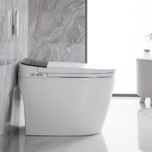 MWD WATERMARK SAA Certificación <span class=keywords><strong>Smart</strong></span> Toilet Factory Australia Premium Cerámica Inodoro inteligente al por mayor - Product Image 3