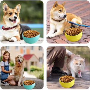 2025 BPA Free Wholesale Portable Silicone Pet Feeding Supplies <b>Dog</b> and Cat <b>Food</b> Plate Cross-Border <b>Dog</b> and Cat Bowl <b>Box</b> Packing - Product Image 2