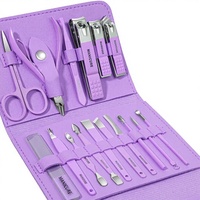 Ensemble de manucure professionnel, coupe-ongles, kit de pédicure, 16 pièces, outils de soin des ongles en acier inoxydable, kit de toilettage, voyage luxueux
