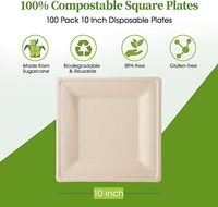 AT PACK Lot de 100 assiettes en papier de canne à sucre biodégradables jetables de 10 pouces, compostables, écologiques et robustes