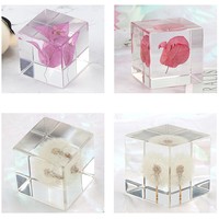 Rose rouge véritable préservée dans un cube de résine, fleur séchée éternelle, presse-papiers en acrylique, décoration de bureau pour la Saint-Valentin, cadeau