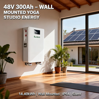 Baterai Lithium Ion 14kWh 48V 300Ah untuk Sistem Surya All in One yang Dipasang di Dinding dengan Roda