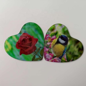 Magneti per Frigorifero 3D Lenticolari Personalizzati del Produttore di Guangzhou, Magneti 3D di Tigri e Animali per Decorazione Frigorifero - Product Image 4