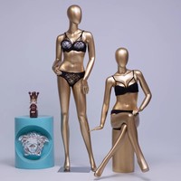 Mannequin Femme Grand Corps Galbé Sous-Vêtements Modèle Fessiers Présentoir en Plastique avec Support Base en Verre