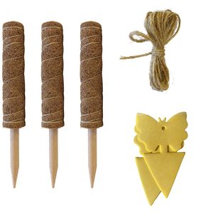 Pali in Fibra di Cocco Naturale Biodegradabile da 45 cm <span class=keywords><strong>per</strong></span> Piante Rampicanti, Supporto <span class=keywords><strong>per</strong></span> Casa e Giardino, Dimensioni Regolabili, Palo <span class=keywords><strong>per</strong></span> Muschio - Product Image 1