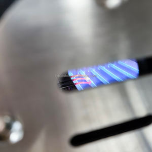 Quemador de Gas con Postquemador Catalítico Eléctrico para Máquina Tostadora de Granos de Café - Product Image 4