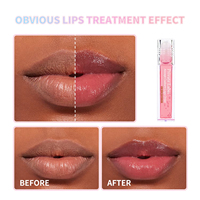 Aangepaste lipverzorgende vloeibare lippenbalsem met applicator, dierproefvrij, veganistisch, verlichtende make-up, fruitig aroma, jojoba-olie, hyaluronzuur