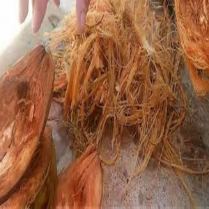 Fibre de coco de qualité exportée, fibre de coco forte et propre, parfaite pour les grossistes mondiaux et les acheteurs industriels - Product Image 1