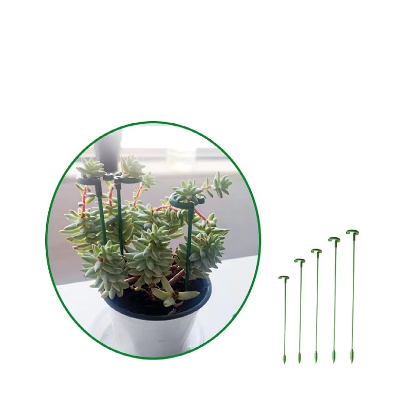 Durchmesser 3mm Lnge 17-58mm Pflanzen pfahl halterung Garten Einzels tamm  sttze Pfahl Pflanzen ringe Pfhle fr Blumen Amaryllis| Alibaba.com